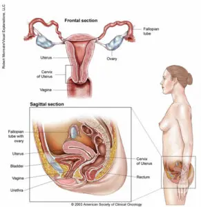 Дисфункция яичников и беременность