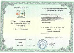 Дипломы и сертификаты Аверин Дмитрий Сергеевич - фото 3