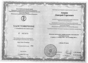 Дипломы и сертификаты Аверин Дмитрий Сергеевич - фото 2
