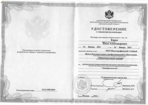Дипломы и сертификаты Карев Илья Александрович - фото 3