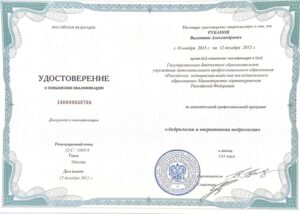 Дипломы и сертификаты РУБАНОВ ВАЛЕНТИН АЛЕКСАНДРОВИЧ - фото 37