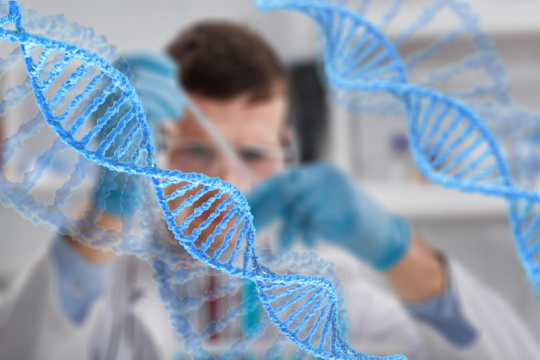 Рассеянный склероз