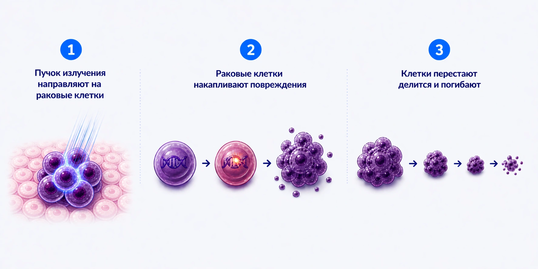 Принцип действия лучевой терапии на ДНК
